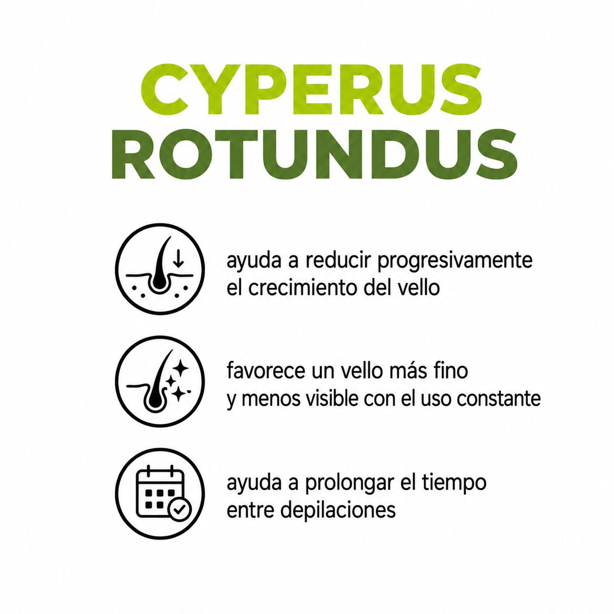 CYPERUS ROTUNDUS OIL X 60 ML