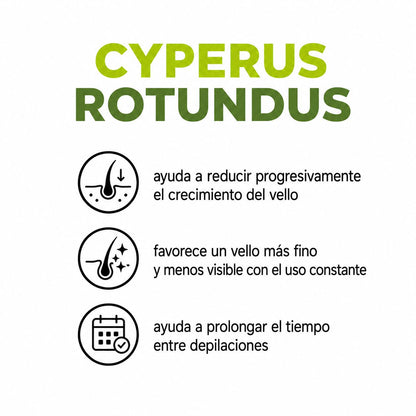 CYPERUS ROTUNDUS OIL X 60 ML